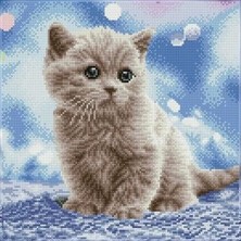 Liva Craft Diamond Dotz Baloncuklar - 35X35 cm