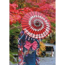 Liva Craft Elmas Mozaik Tablo Sonbahar Zarafeti – 32 x 45 cm