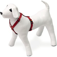 Karlie Kilitli Göğüs Tasması, Için,-40 Cm,