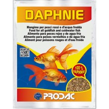 Prodac Daphnie 5gr