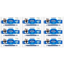 Familia Yüzey Temizlik Havlusu 96 Yaprak Maxi Hijyen Kabartma Doku Plastik Kapaklı 9 Lu Set 864 Yprk