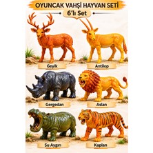 Empressco Yüksek Kaliteli 13 cm Büyük Boy 6'lı Set, Şık ve Dayanıklı Tasarım