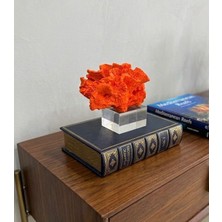 Mirsa Global Dekoratif Kristal Kaideli Mercan Biblo Turuncu