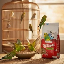 Bella Vista Muhabbet Kuşu Yemi, 1 kg