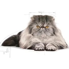 Bella Vista Kedi Maması - 4 Kg, Sağlıklı Vücut Gelişimi Için