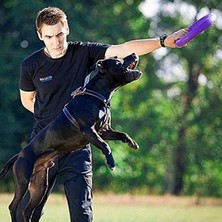 Bella Vista Köpek Eğitim Halkası - 2 Adet Set