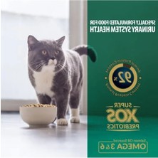 Bella Vista Tavuklu Kuru Kedi Maması 1,5 kg - Zengin Mineral Içeriği