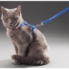 Bella Vista Ayarlanabilir ve Konforlu Kedi Tasması - 110 cm