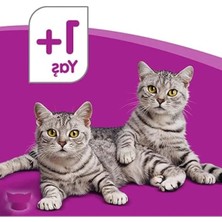 Bella Vista Kümes Hayvanlı Yavru Kedi Yaş Mama 85 G