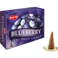 Vip Blueberry Cones Konik Tütsü 10'lu