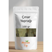 Mucize Tıp Çınar Yaprağı Kurusu Dökme 100 gr