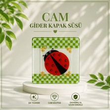 Evim 365 Cam Gider Süsü