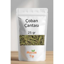 Mucize Tıp Çoban Çantası Kurusu Dökme 25 gr
