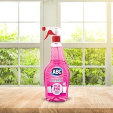Data Store Deterjan Cam Temizleyici Çiçek Bahçesi 500 ml