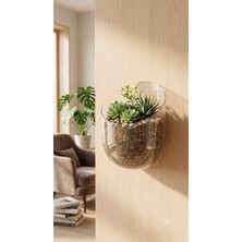 Şirin Home Yapışkanlı Şeffaf Duvar Organizeri & Saksı (Vidasız / Çivisiz)