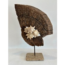 Ltd 87650-C Büyük Driftwood Rabbit Heykeli