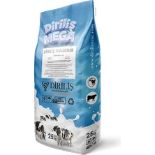 Diriliş Megapanzehir 25 kg Yem Katkı ( TOKSİN BAĞLAYICI )