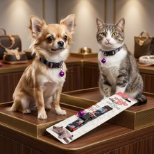 Lady Fify Kedi ve Köpek Için Ayarlanabilir, Klipsli ve Zilli Tasma