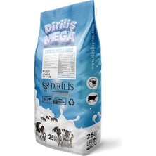 Diriliş Megabesi 25 kg Yem Katkı