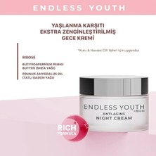 Grains Global Endless Youth Yaşlanma Karşıtı Zenginleştirilmiş Gece Kremi 50ML