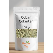 Mucize Tıp Çoban Çökerten Kurusu Dökme 100 gr