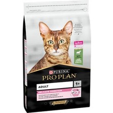 isiltikidsmoda Delicate Kuzulu Yetişkin Kedi Maması 10 kg