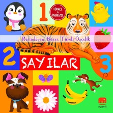 Uçan Fil Yayınları Sayılar