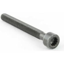BSG Enjektör Civatası Vw T5 2.5 Tdı 2004-2010 Axd-Axe 070103385A