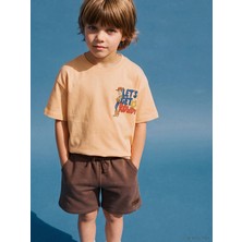 Lc Waikiki Yeni Sezon Toy Story Baskılı Erkek Çocuk Tişört