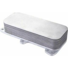 BSG Yağ Soğutucusu Vw T5 - Touareg 2.5 Tdı Axd-Axe-Bac 2004-2010 070117021D