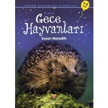 Ne Verelim Size Ilk Okuma - Gece Hayvanları