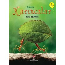 Ne Verelim Size Ilk Okuma - Karıncalar