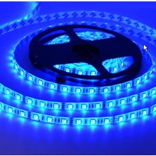12V 5 mt Mavi Dış Mekan Şerit Led[1 Adet]