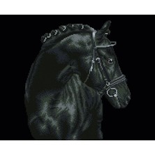 Liva Craft Elmas Mozaik Tablo Siyah Işıltı – 41,9 x 52,1 cm