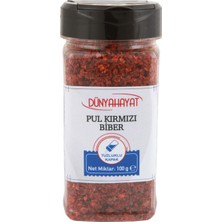 Dünya Hayat Pul Kırmızı Biber 100 G (8'li Paket)