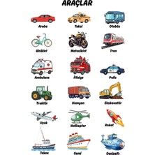 Besay Araçlar Çocuk Türkçe Eğitim Tekli A4 Çerçevesiz