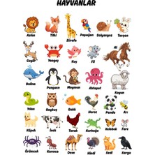 Besay Hayvanlar Çocuk Türkçe Eğitim Tekli A4 Çerçevesiz