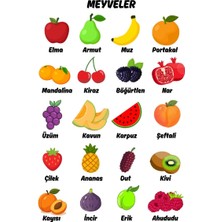 Besay Meyveler Çocuk Türkçe Eğitim Tekli A4 Çerçevesiz