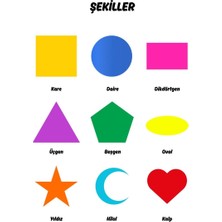 Besay Şekiller Çocuk Türkçe Eğitim Tekli A4 Çerçevesiz