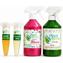 Plant Home Power Mix Bitki Bakım Seti 4'LÜ | Keiki Macunu + Köklendirme Jeli + Bloom + Power Mix Bitki Besini / 1 ADET 0.75 LT 12 Pot Üretim Saksısı Hediye