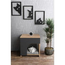 Alpa Ev Mobilya Ahşap Kedi Evi Kapalı Kedi Yatağı Yuvası Dekoratif Modern Komodin Yan Sehpa Tasarımlı Kedi Evi