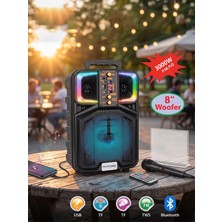 Erdineks 8 Inç Taşınabilir Bluetooth Parti Hoparlörü - Mikrofonlu ve Kumandalı Karaoke Ses Sistemi (3000W P.m.p.o Disko Işıklı)