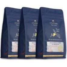 Ezel Eterno Guatemala SHB La Delıcıa Öğütülmüş Üçlü Filtre Kahve  Seti – 3 x 250gr