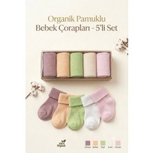 Vavbaby Kız ve Erkek Bebek Organik Pamuklu, Yumuşak Dokulu, Mevsimlik 5’li Çorap Seti - Pembe