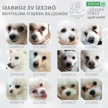 Bella Vista Beyaz Tüylü Küçük Irk Köpekler Için Tahılsız Alabalıklı Mama, 1.5 kg