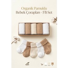 Vavbaby Kız ve Erkek Bebek Organik Pamuklu, Yumuşak Dokulu, Mevsimlik 5’li Çorap Seti - Kahverengi