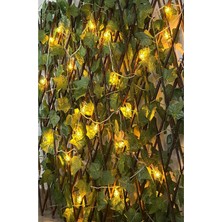 Jasper Yapay Çit Akardiyon 120CMX3M ve 2 mt Mini Disko Topu Dekoratif Süsleme LED
