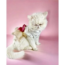 Bella Vista Tütülü Kedi Elbisesi, Creamy Fuschia Renk, Şık Tasarım