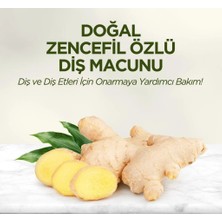 Bezos Mey Ithalat®   Doğal Diş Macunu 90 gr Zencefil Özlü