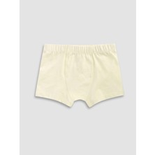 Lc Waikiki Yeni Sezon Erkek Çocuk Boxer